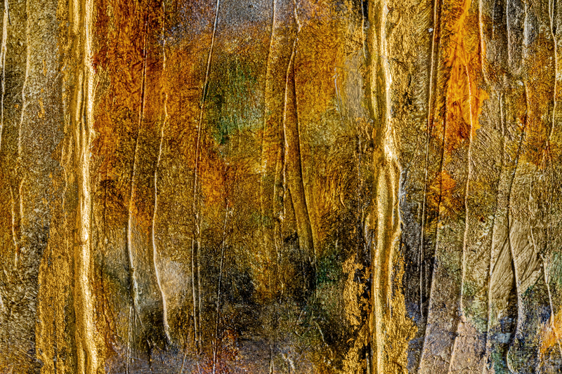 森の色　ゴールドの森　インスピレーション　マッジー・フランチェスコ